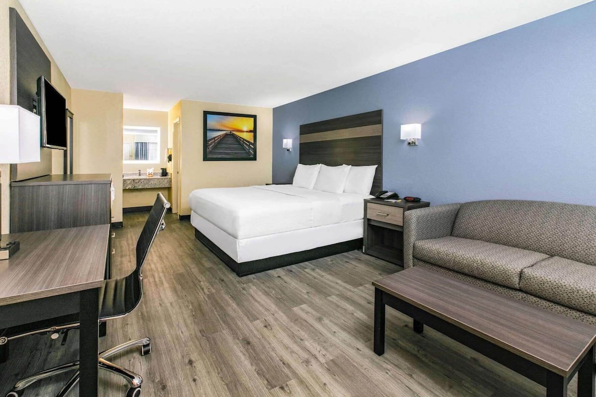 A hotel room with a bed, a sofa, a desk, a chair, a TV, and a painting on the wall.