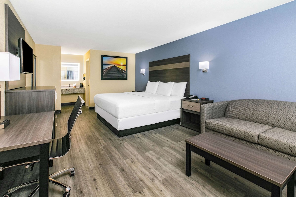 A hotel room with a bed, a sofa, a desk, and a chair.