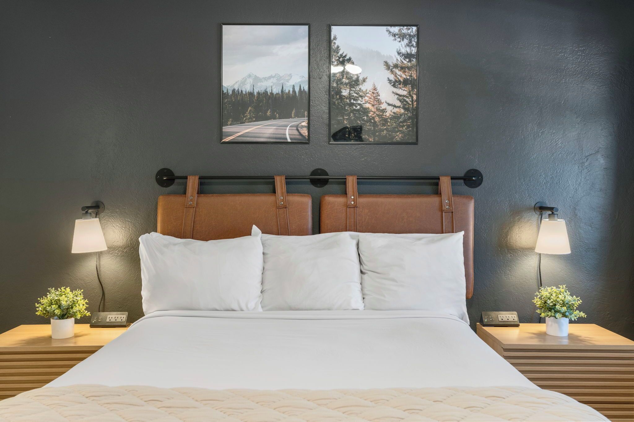 A hotel room with a bed, two bedside lamps, a nightstand with a plant, and two framed pictures on the wall.