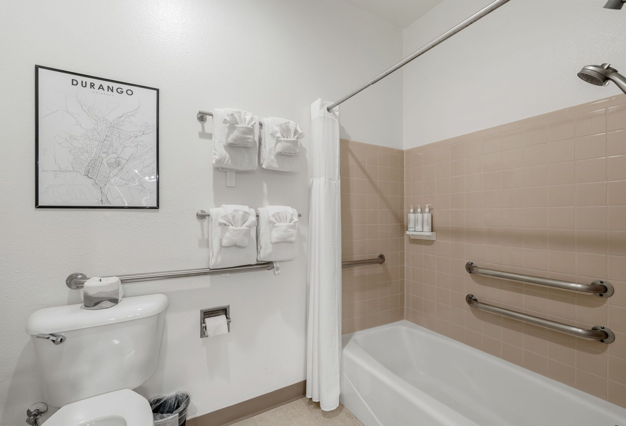 A bathroom with a toilet, a shower with grab bars, and a framed map on the wall.