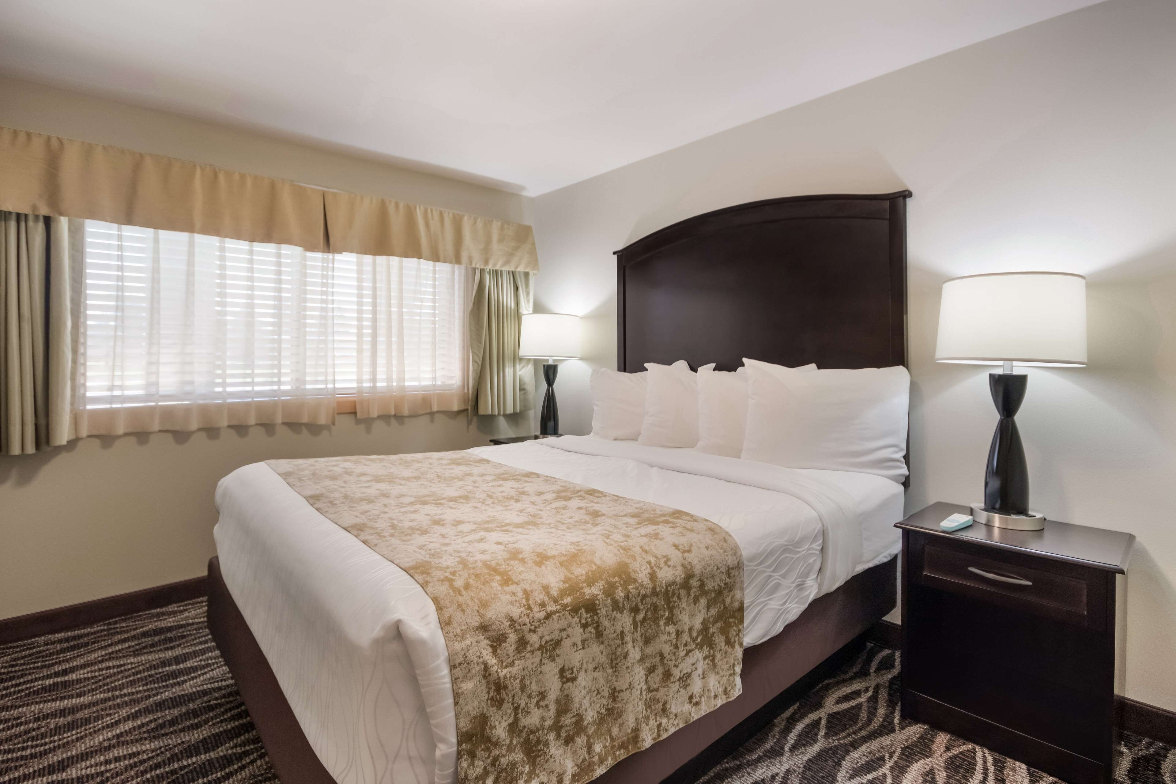 standard room, 1 queen bed, non smoking, microwave | in-room safe, desk, iron/ironing board, cots/infant beds