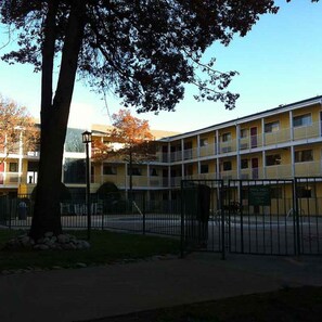 Piscina externa