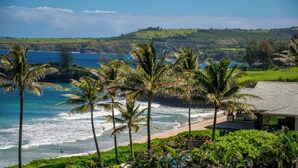 A coastal view with palm trees, a beach, and a house with a sloped roof.