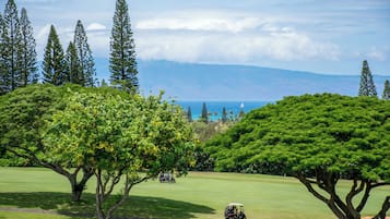 Vila, 1 quarto (Golf 16T5 Gold Fairway View, 1.5 Bath) | Vista para o campo de golfe