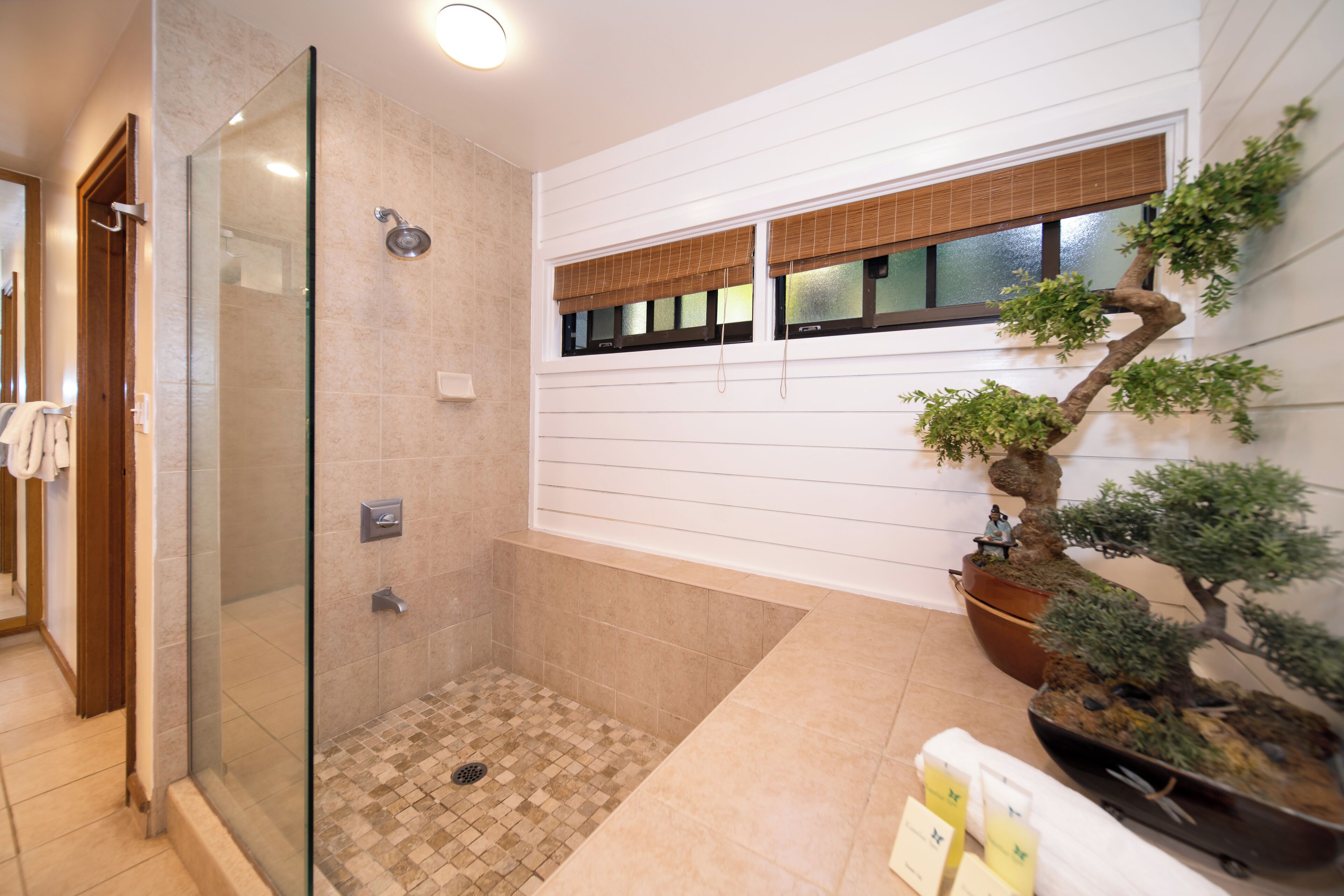 Ein modernes Badezimmer mit einer gläsernen Duschkabine, einer großzügigen Badewanne und einem Bonsai-Baum im Topf.