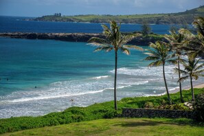 Beach/ocean view