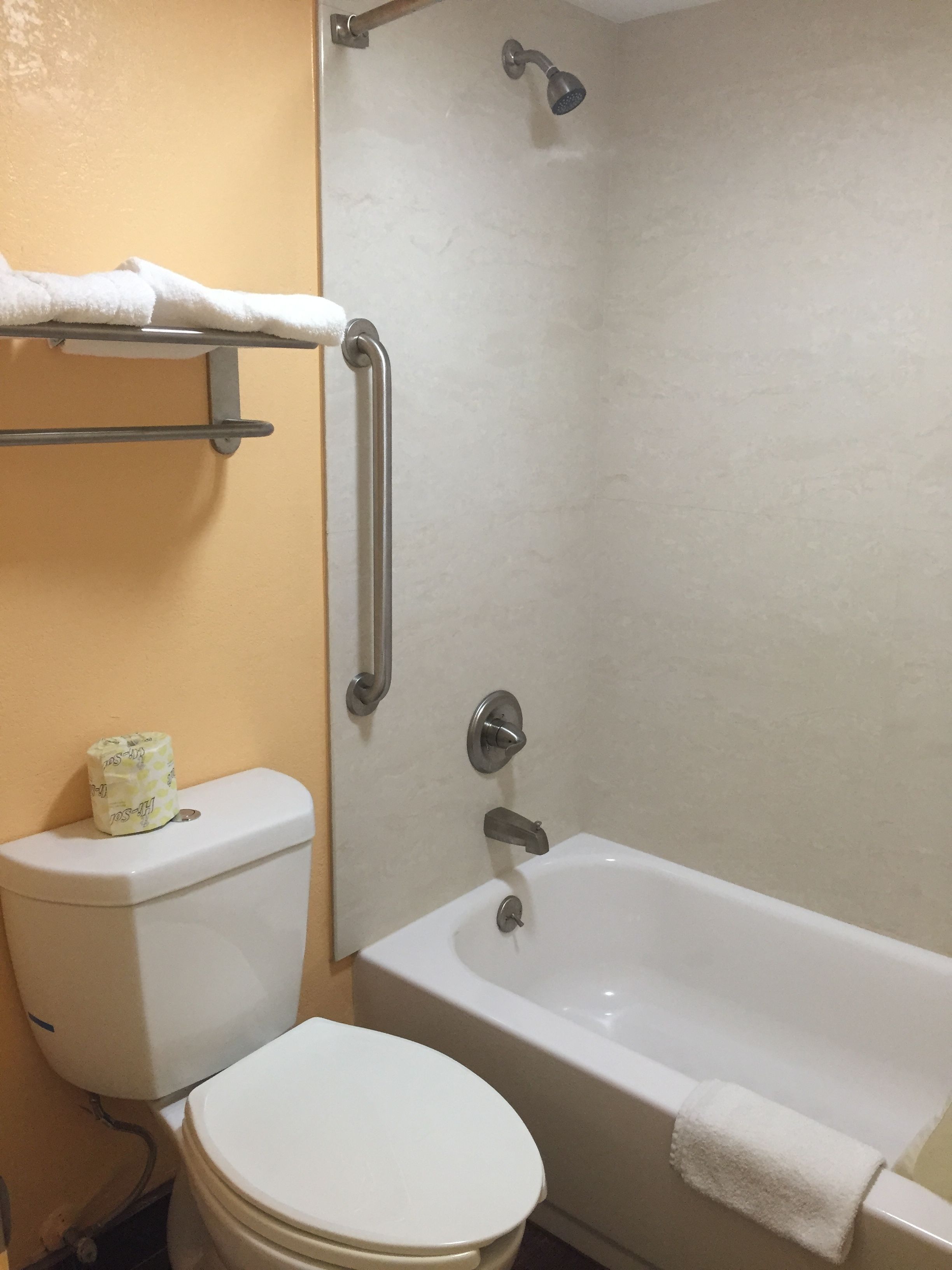 A bathroom with a toilet, a bathtub, and a shower.
