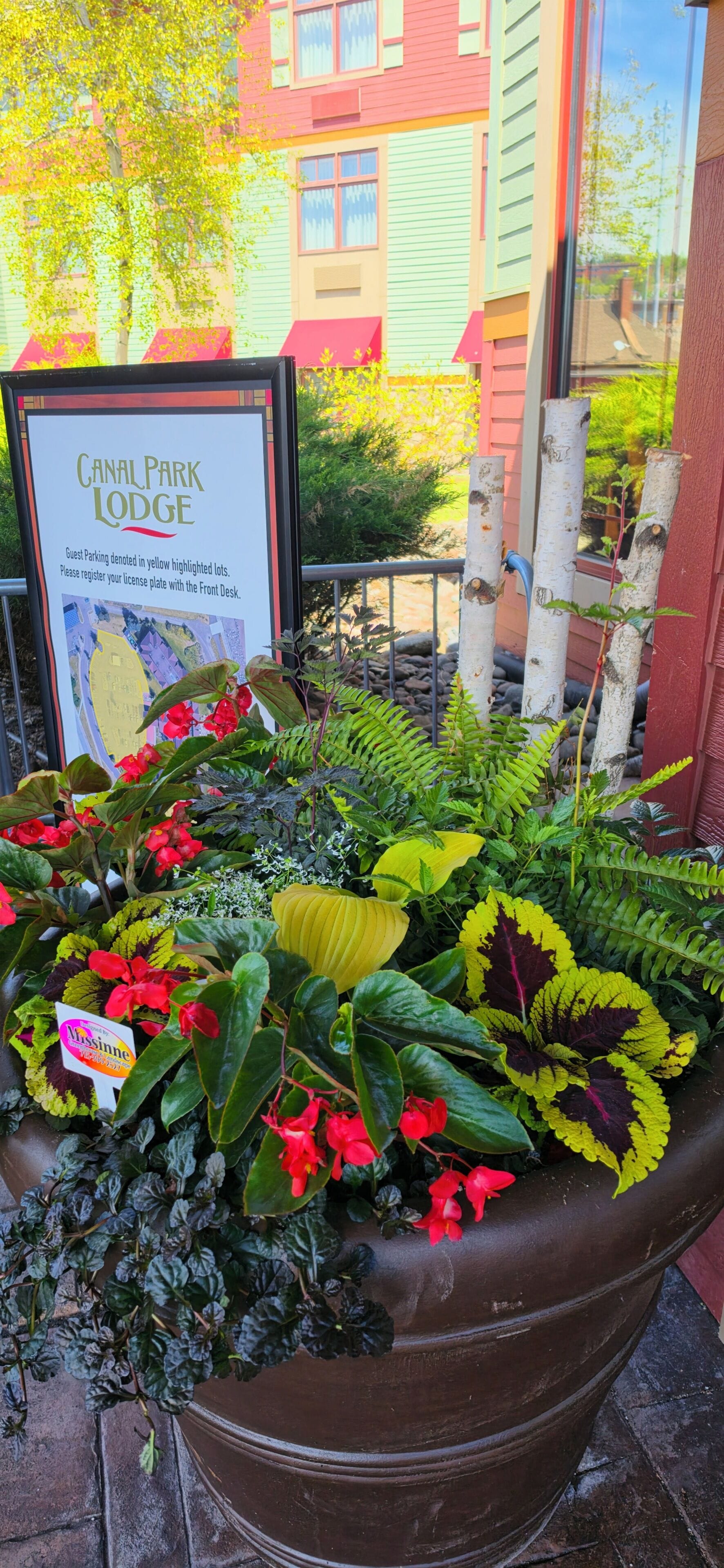 Um vaso com diversas plantas e uma placa para Canal Park Lodge.