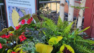 Um vaso com diversas plantas e uma placa para Canal Park Lodge.