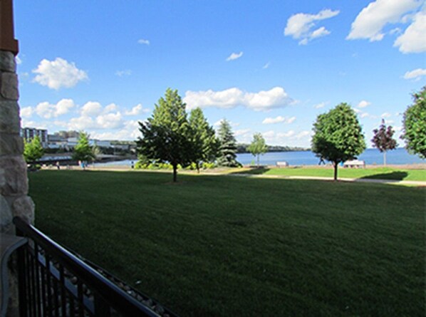 A grassy area with trees and a body of water in the background.