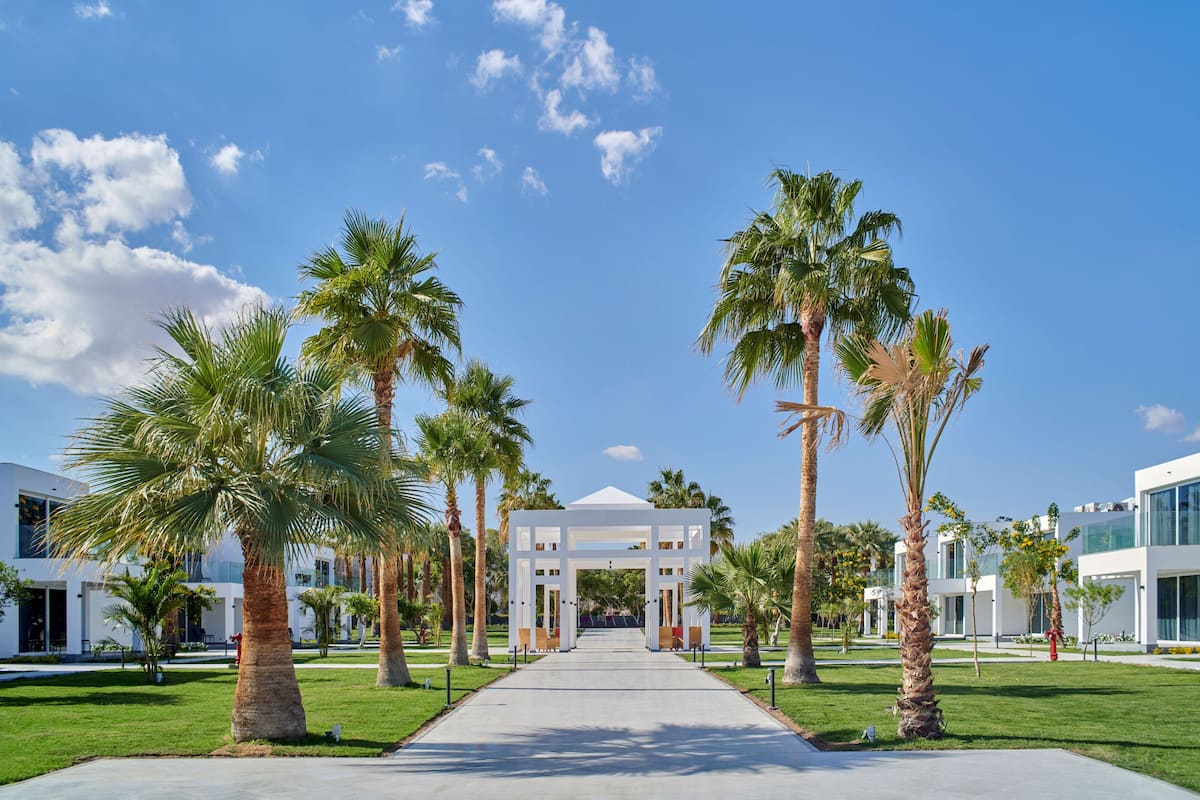 A pathway leading to a white gazebo surrounded by palm trees and modern buildings.