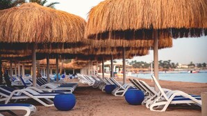 A beach with rows of sun loungers under thatched umbrellas, a sandy beach, and a calm sea in the background. - Maritim Jolie Ville Resort & Casino Sharm El Sheikh (Sharm El Sheikh)