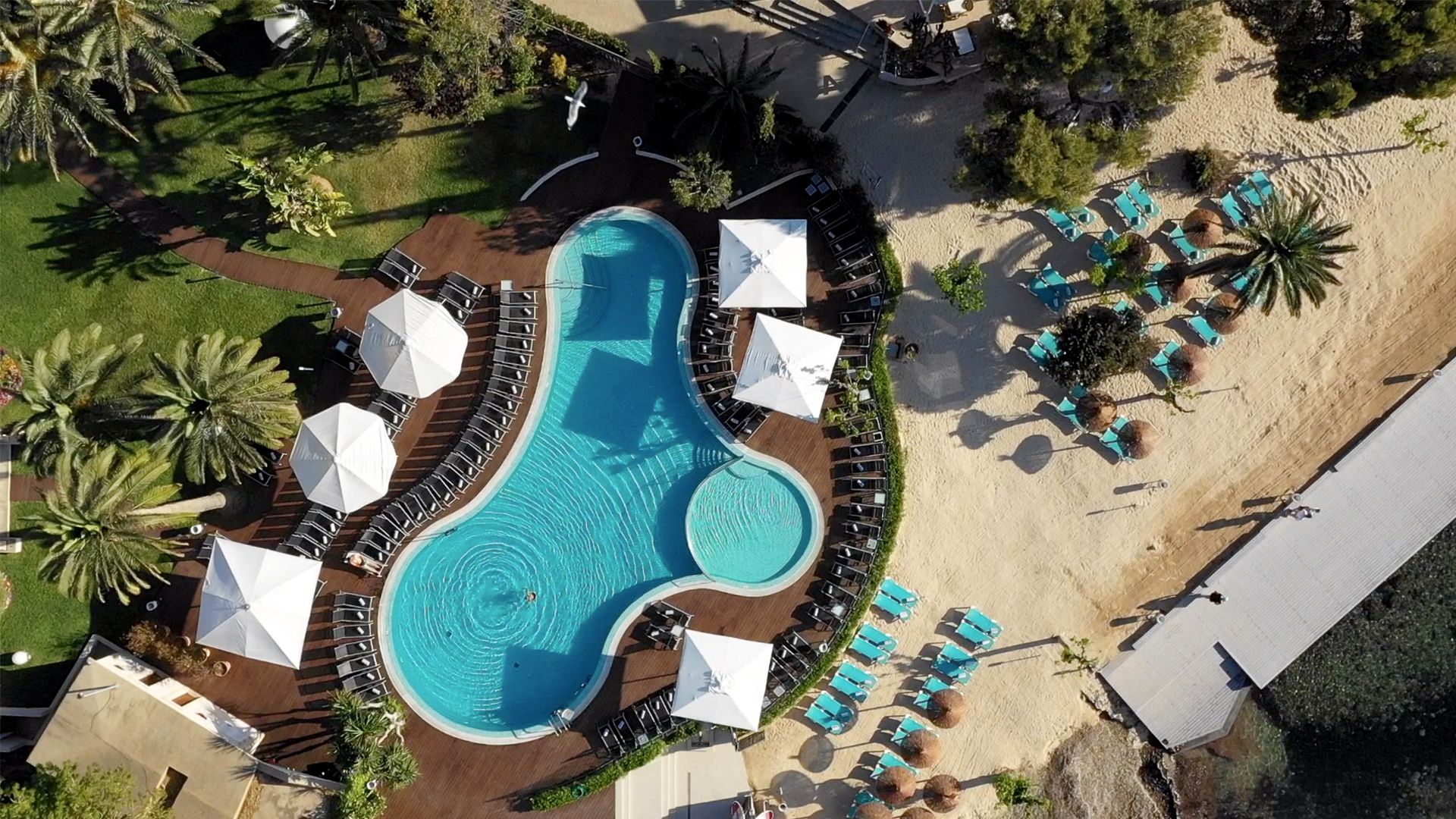 An aerial view of a resort with a large swimming pool, sun loungers, and palm trees.