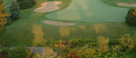 Un parcours de golf comportant de nombreux bunkers et des arbres.
