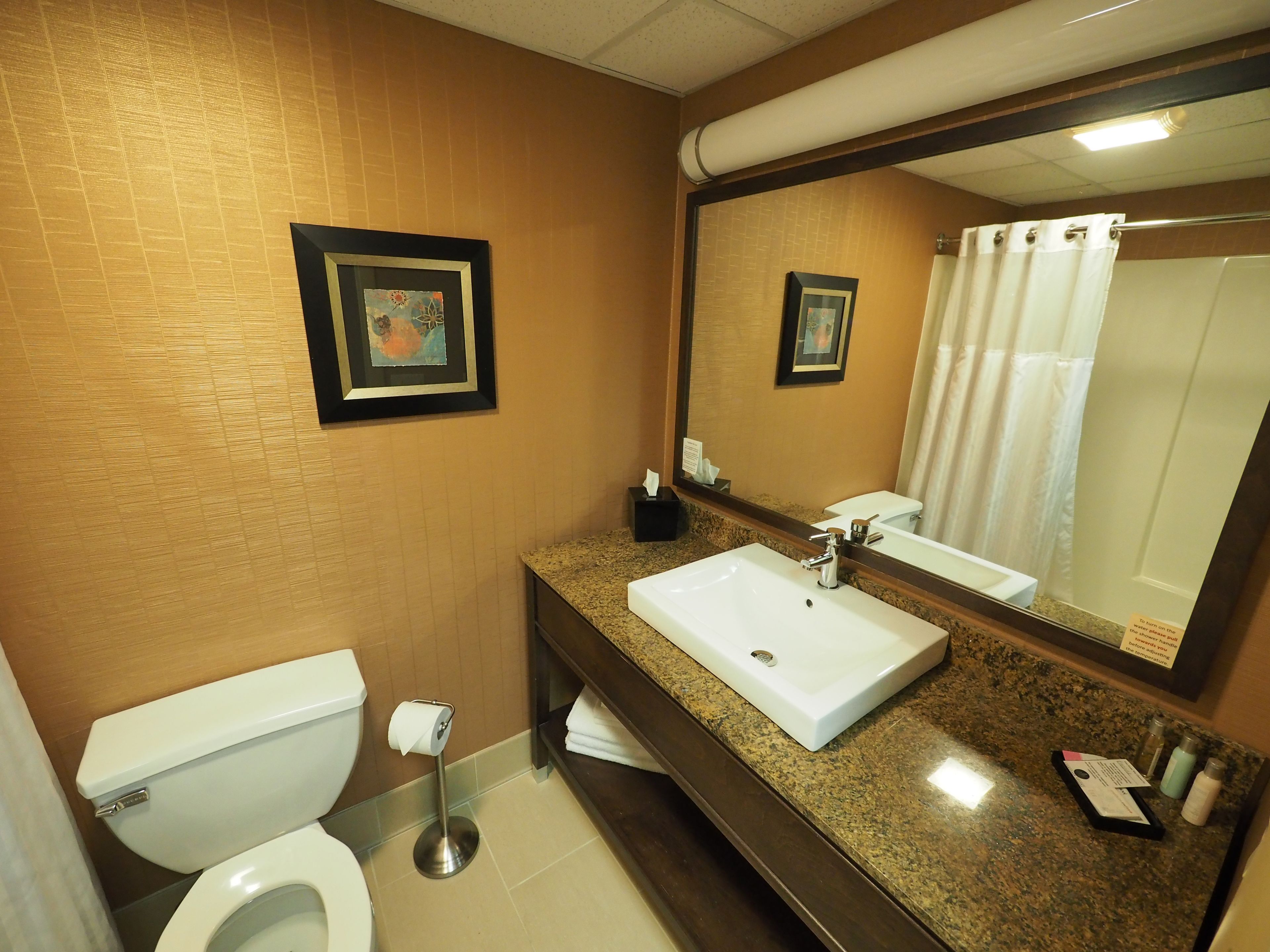 combined shower/bathtub, hair dryer, towels