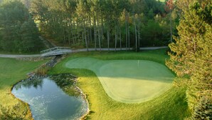 A golf course with a pond, a bridge, and dense forest in the background. - Evergreen Resort (Cadillac)