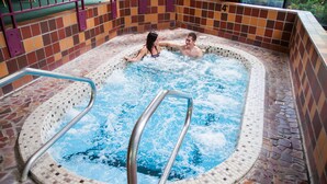 A hot tub with mosaic tile walls and a metal ladder. - Evergreen Resort (Cadillac)