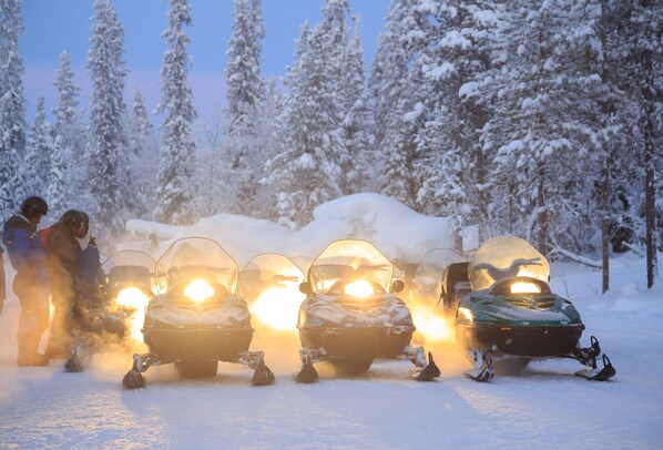 Paseos en moto de nieve