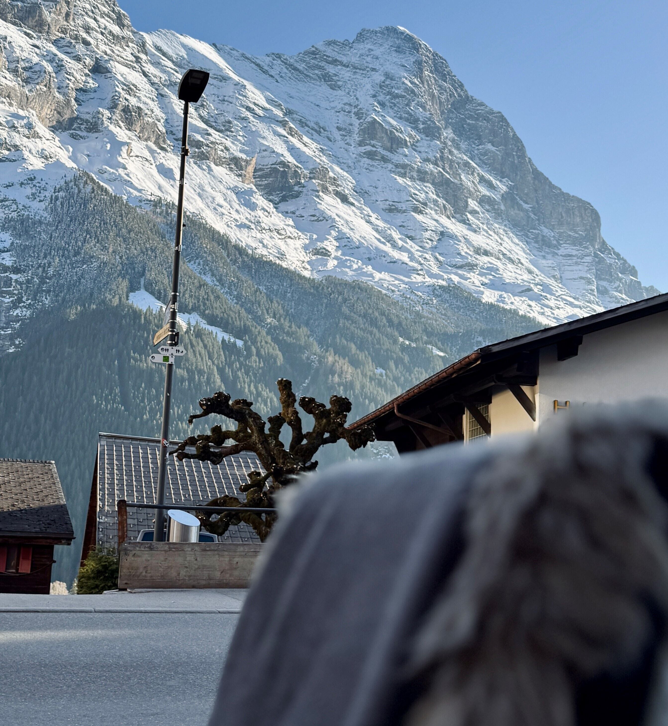 A mountain with snow-covered peaks, a street lamp, and a building with a sloped roof.