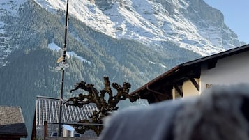 A mountain with snow-covered peaks, a street lamp, and a building with a sloped roof.