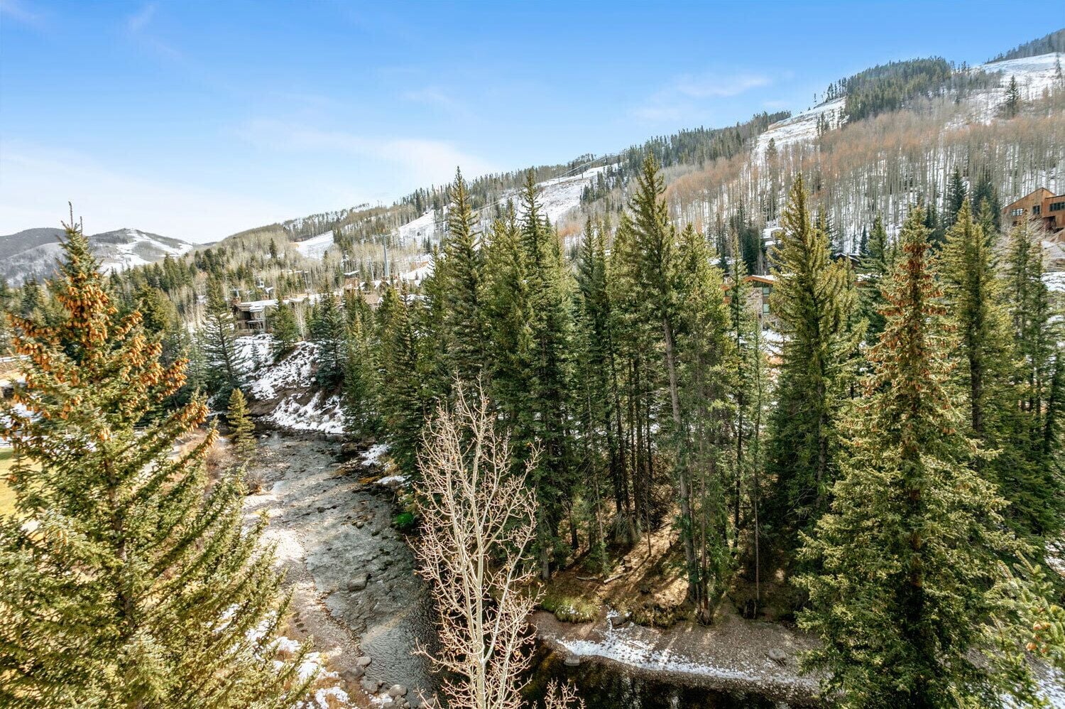 A mountainous landscape with dense evergreen forests, a snow-covered stream, and a building nestled among the trees.