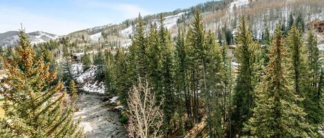 A mountainous landscape with dense evergreen forests, a snow-covered stream, and a building nestled among the trees.