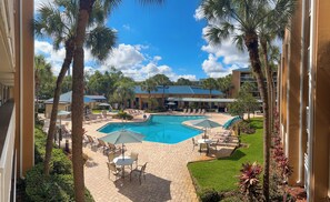 Outdoor pool, pool loungers