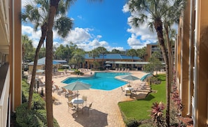 Outdoor pool, sun loungers