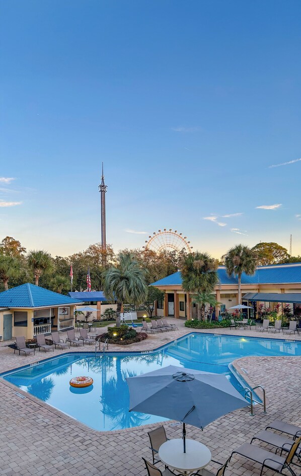 Outdoor pool, sun loungers
