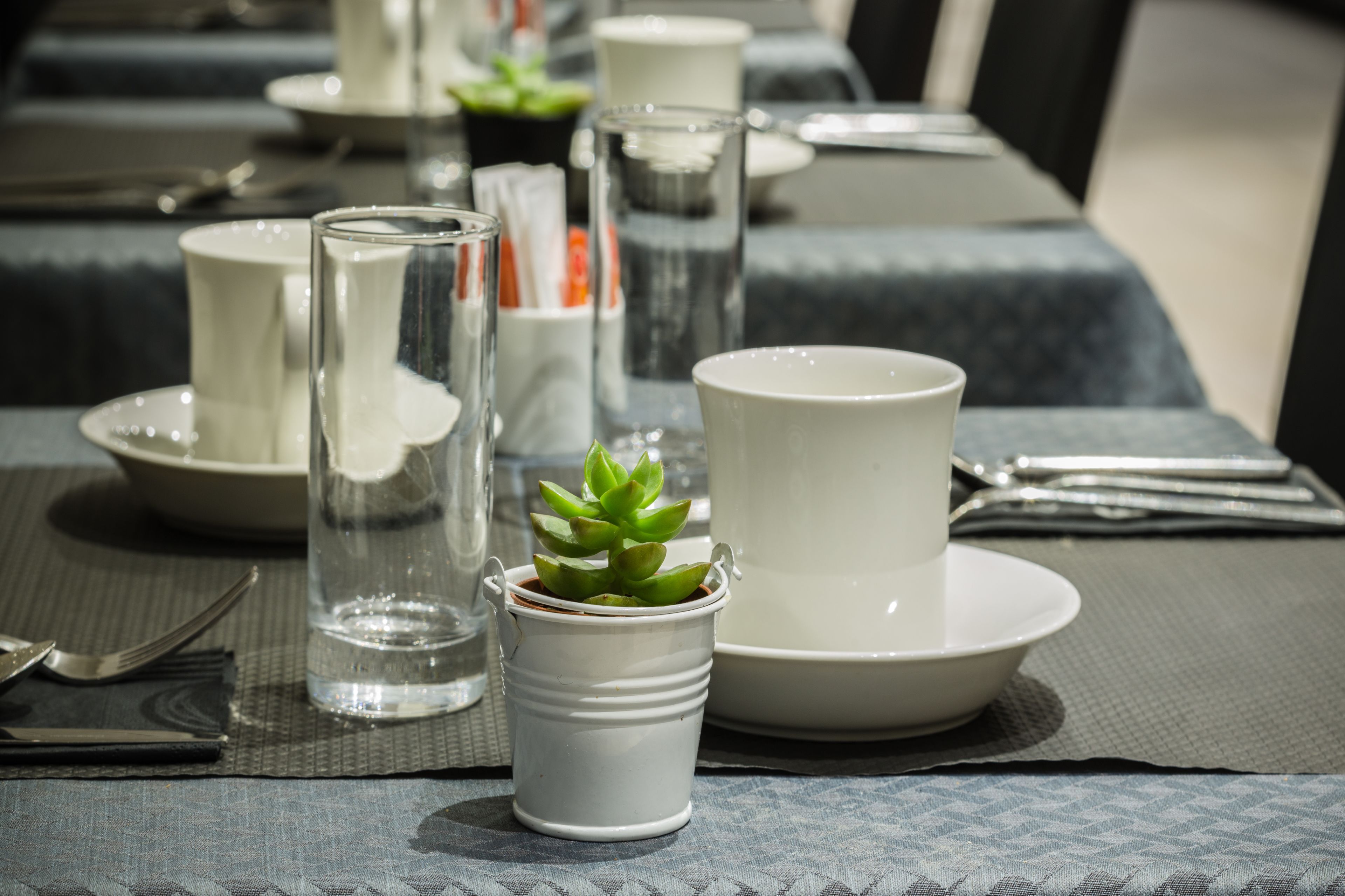 Une table dressée avec de l’assiette blanche, des bols et de la verrerie transparente, et une petite plante succulente en pot placée au centre.