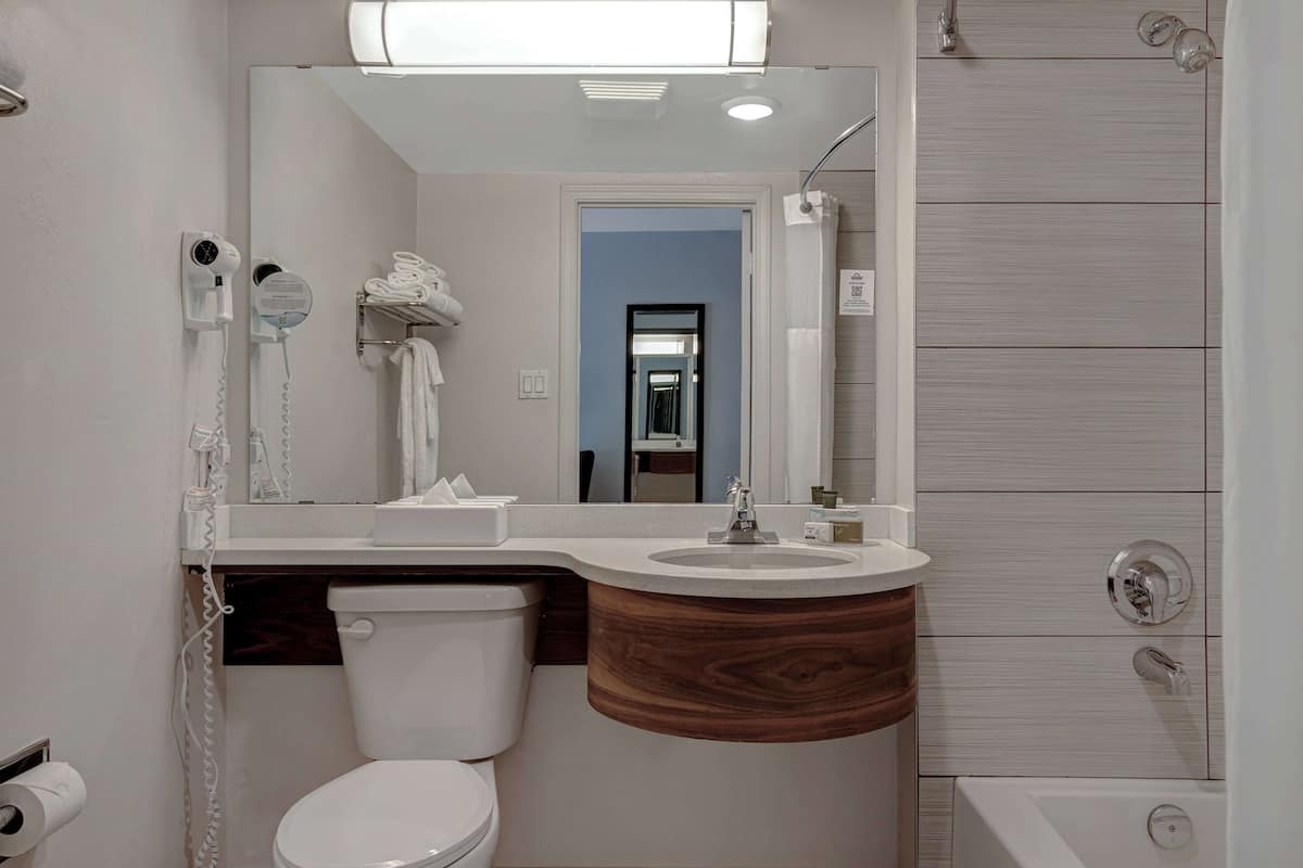 combined shower/bathtub, free toiletries, hair dryer, towels