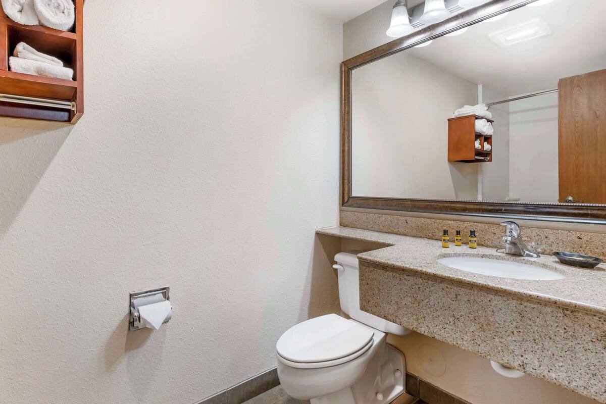 standard room, 1 king bed, non smoking, refrigerator & microwave (oversized room;with sofabed) | bathroom | hair dryer, towels, soap, shampoo