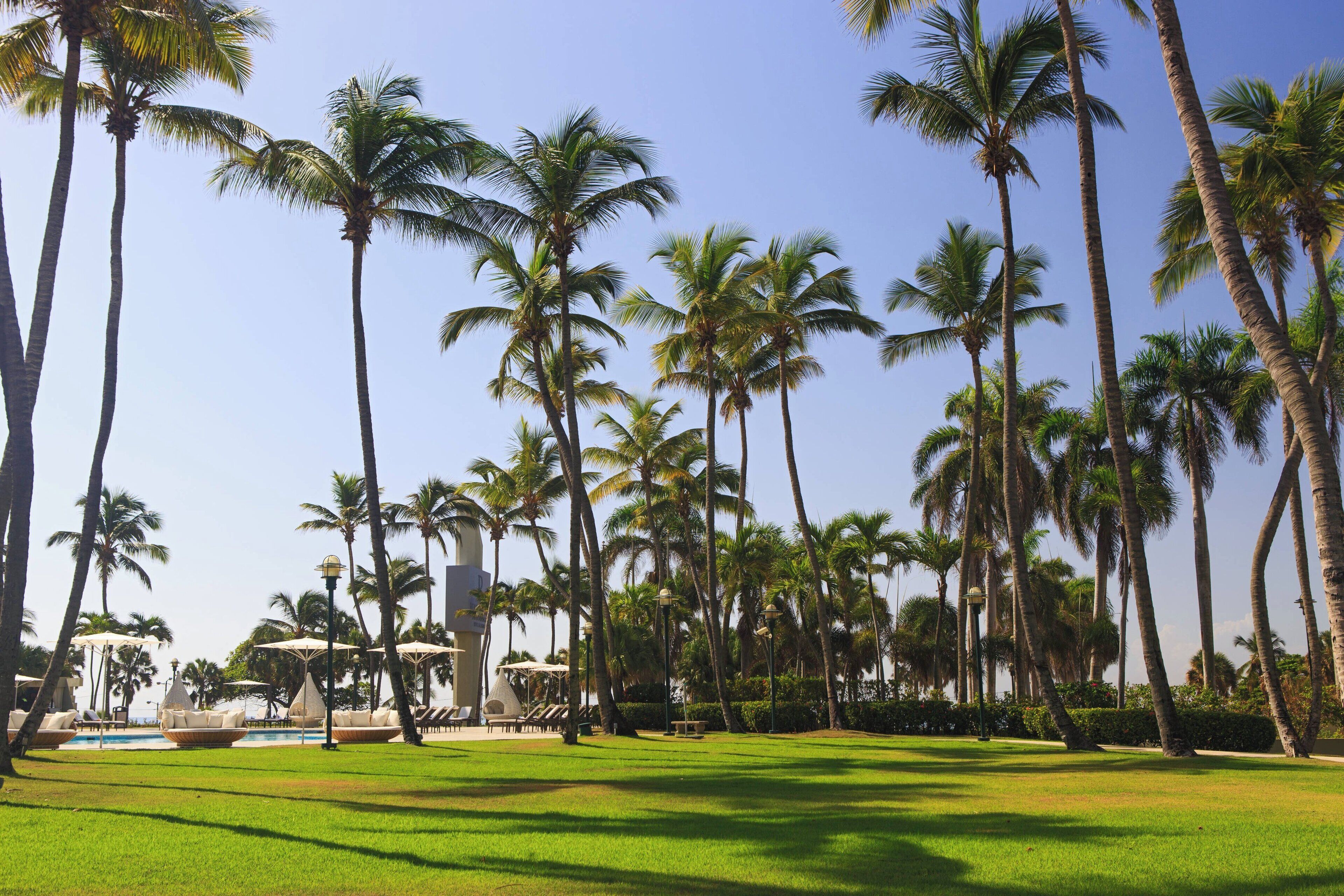 Zona de resort con palmeras, piscina y mobiliario exterior.
