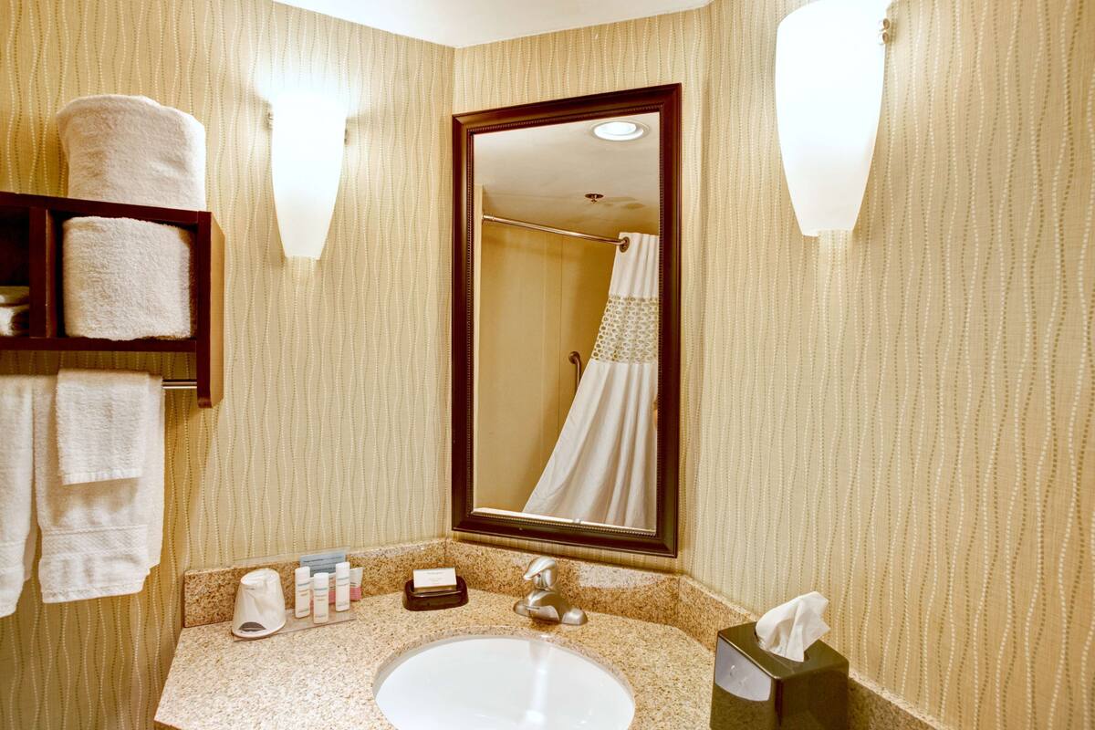 A hotel bathroom with a sink, mirror, towel rack, and toiletries.