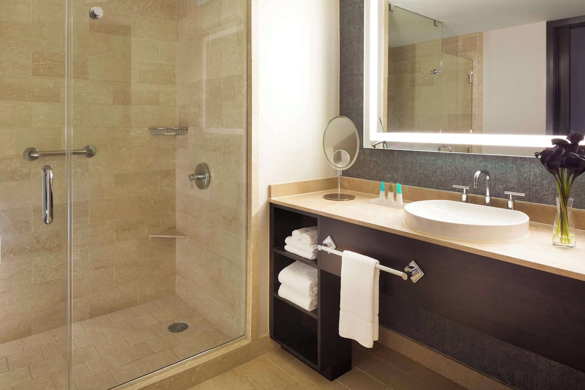 designer toiletries, hair dryer, towels