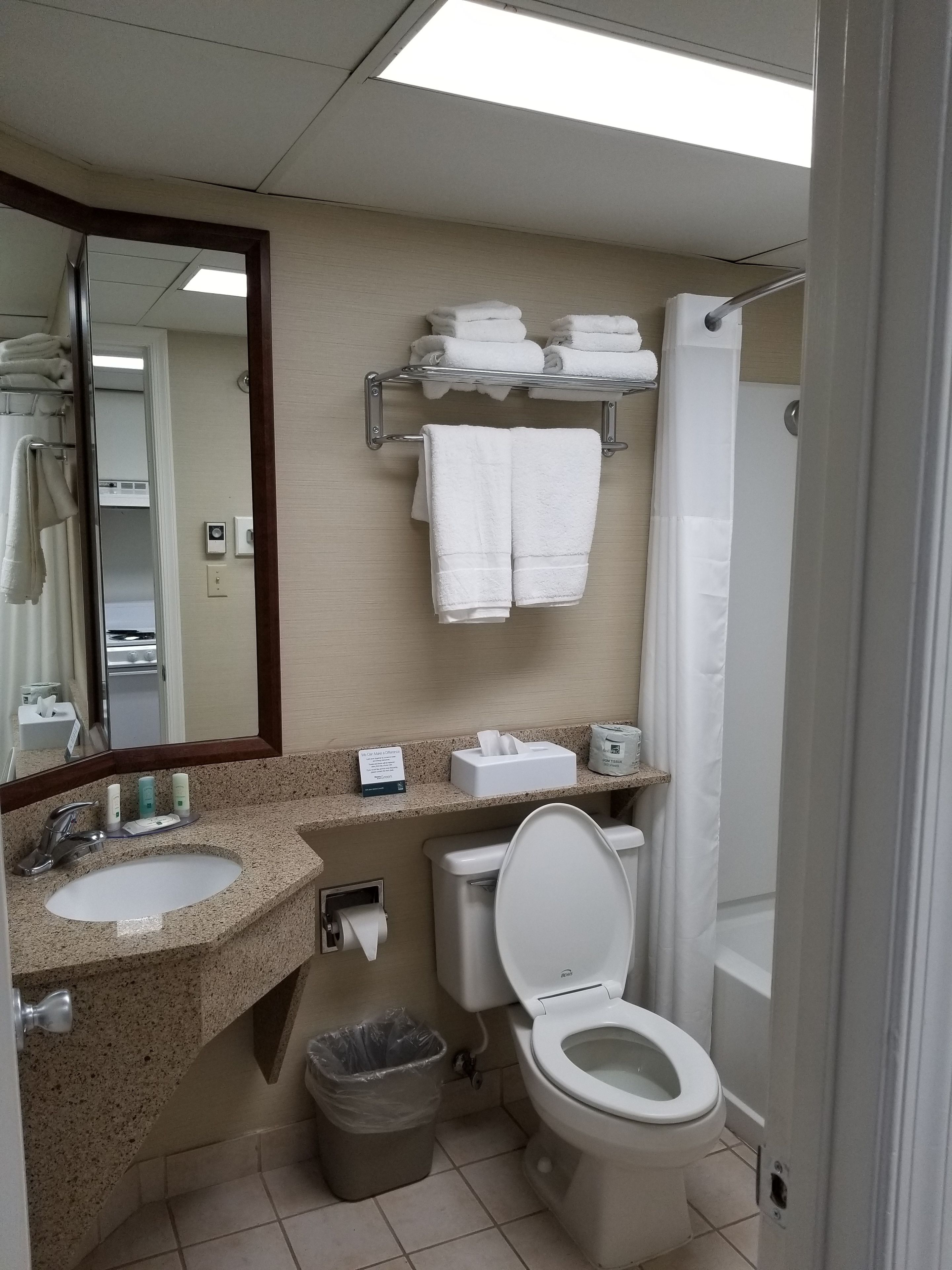 Ein Badezimmer mit Waschbecken, Spiegel, Handtuchhalter, Toilette und Duschvorhang.