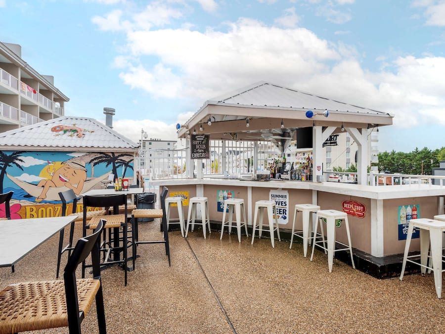 Serveert ontbijt en lunch