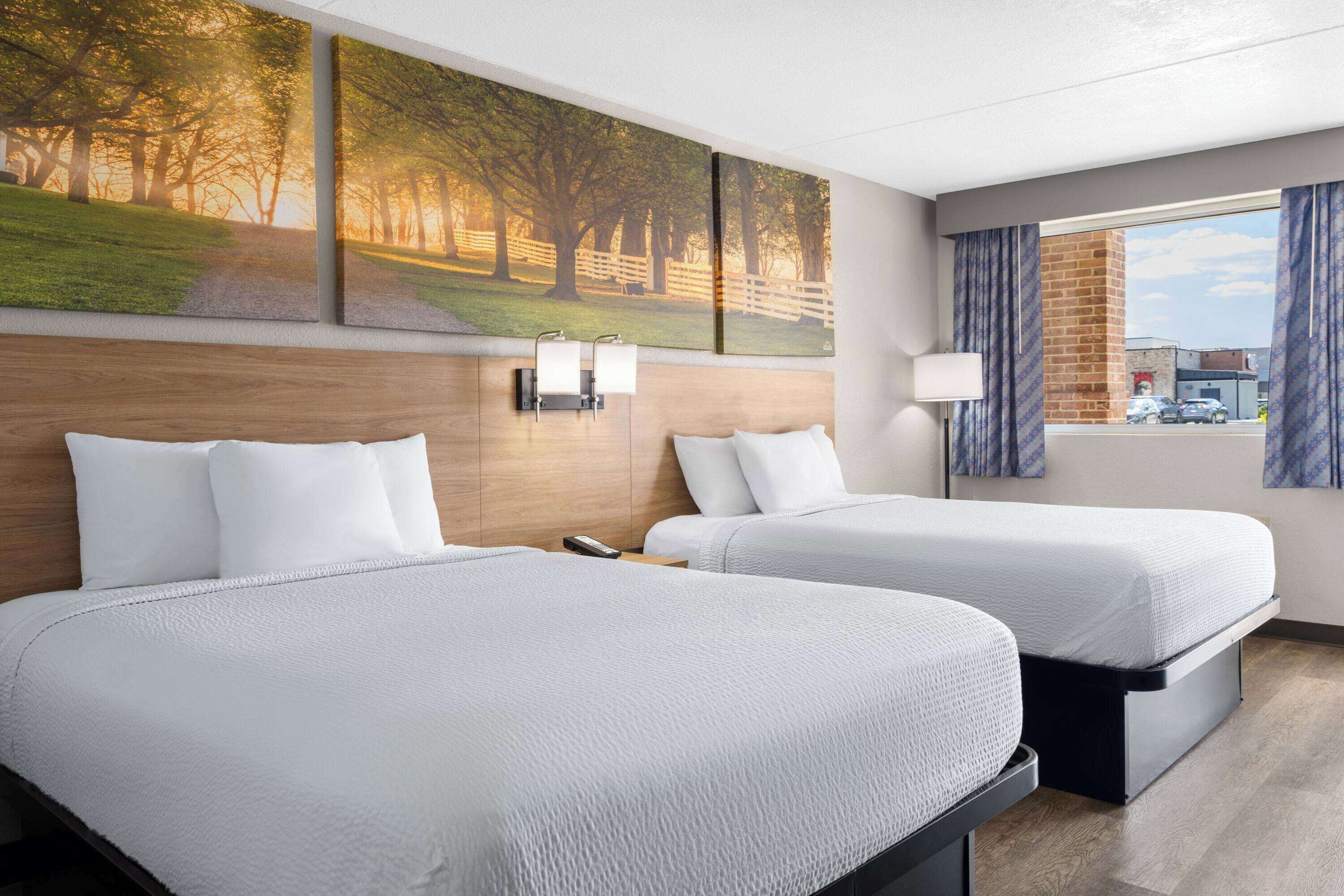 Une chambre d’hôtel avec deux lits, une tête de lit en bois, un tableau représentant des arbres, une fenêtre avec des rideaux et une vue sur la rue.