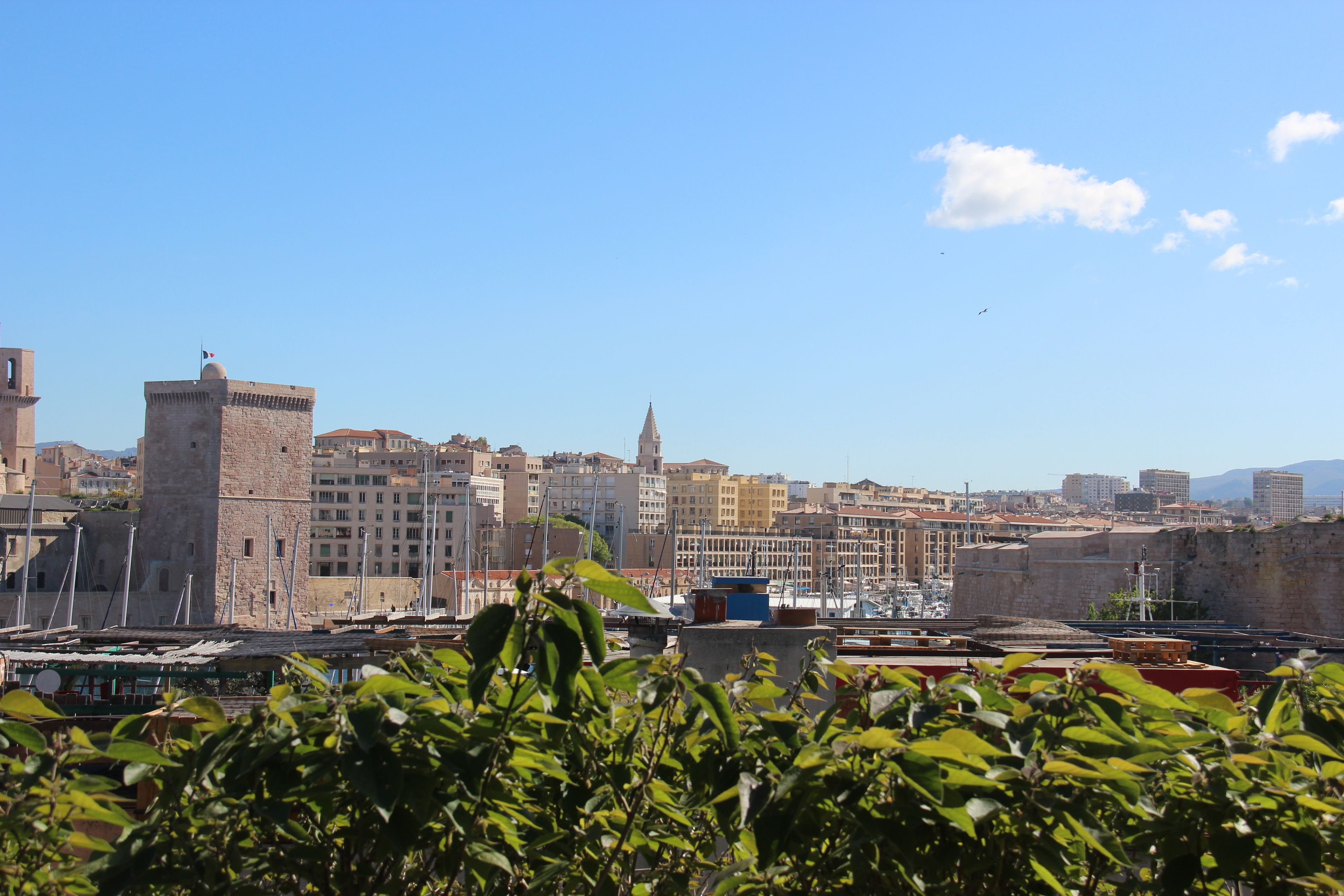 Une vue urbaine avec des bâtiments historiques, dont une tour imposante et le clocher d’une église, sous un ciel bleu dégagé.
