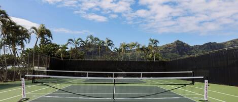 A tennis court with a net in the center, surrounded by a fence, and palm trees in the background.