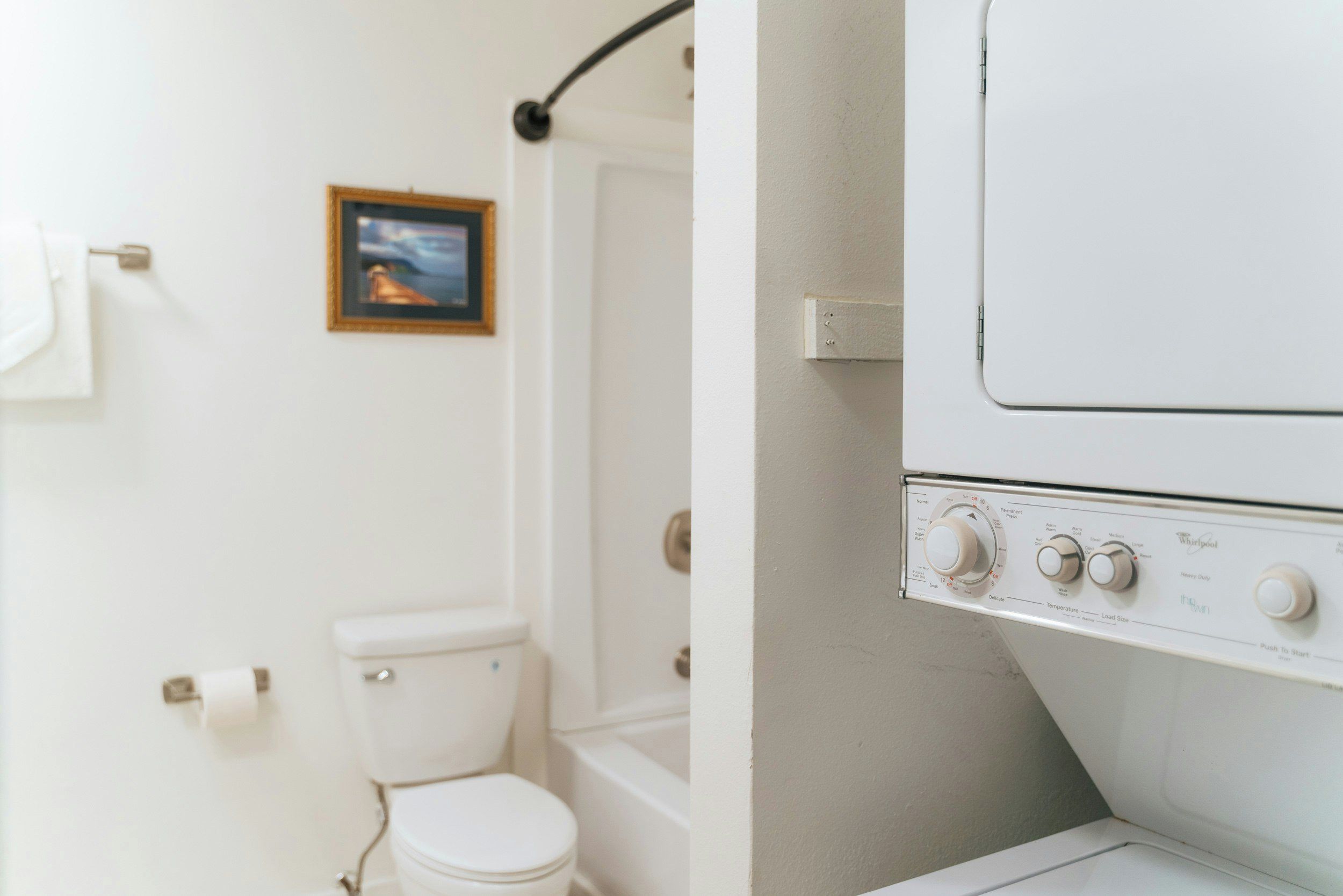 A bathroom with a toilet, a framed picture on the wall, and a white washing machine.