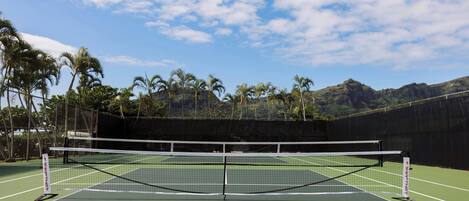 Una cancha de tenis con una red en el centro, rodeada por una valla y palmeras al fondo.