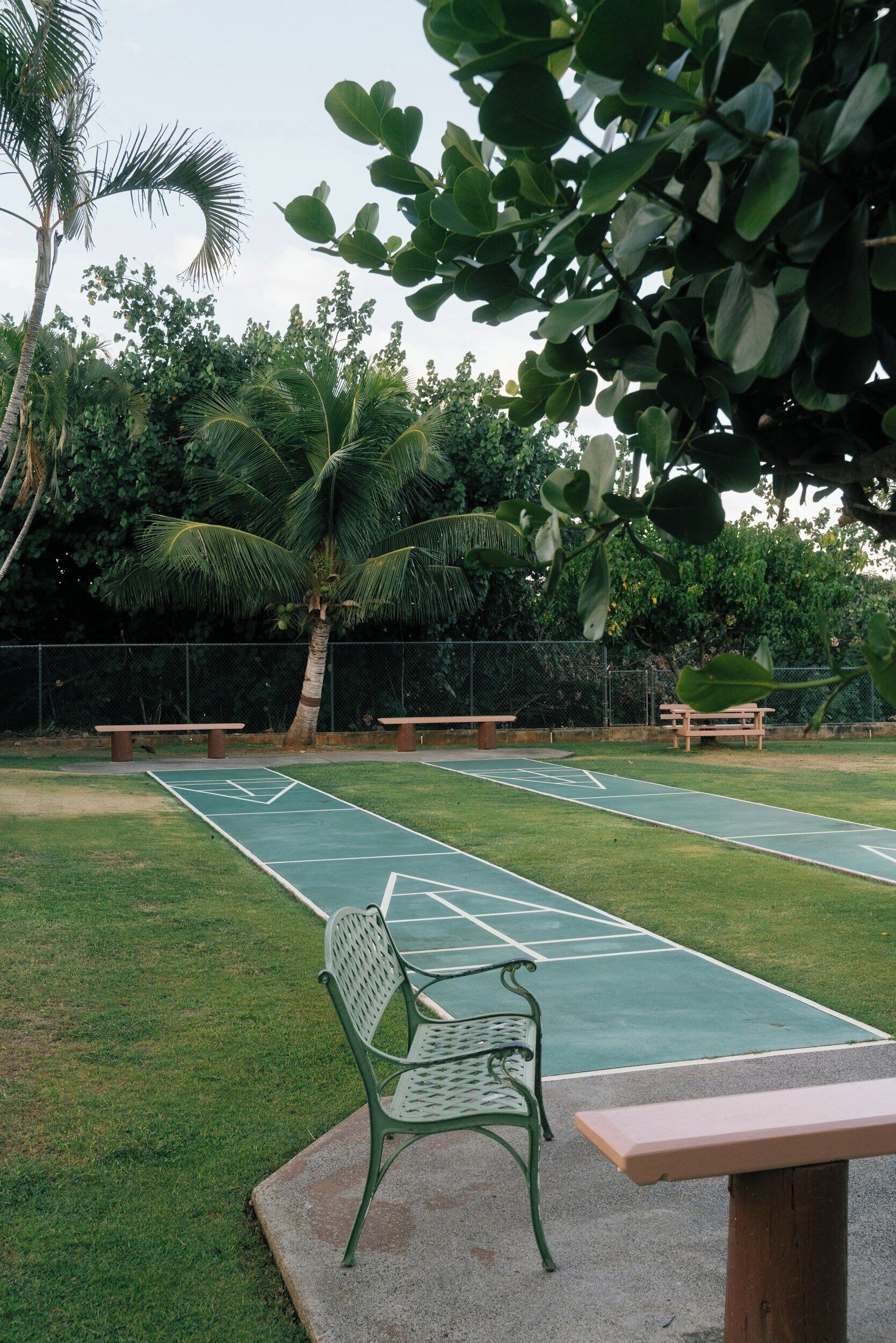 A tennis court with a green surface, surrounded by lush greenery and palm trees.