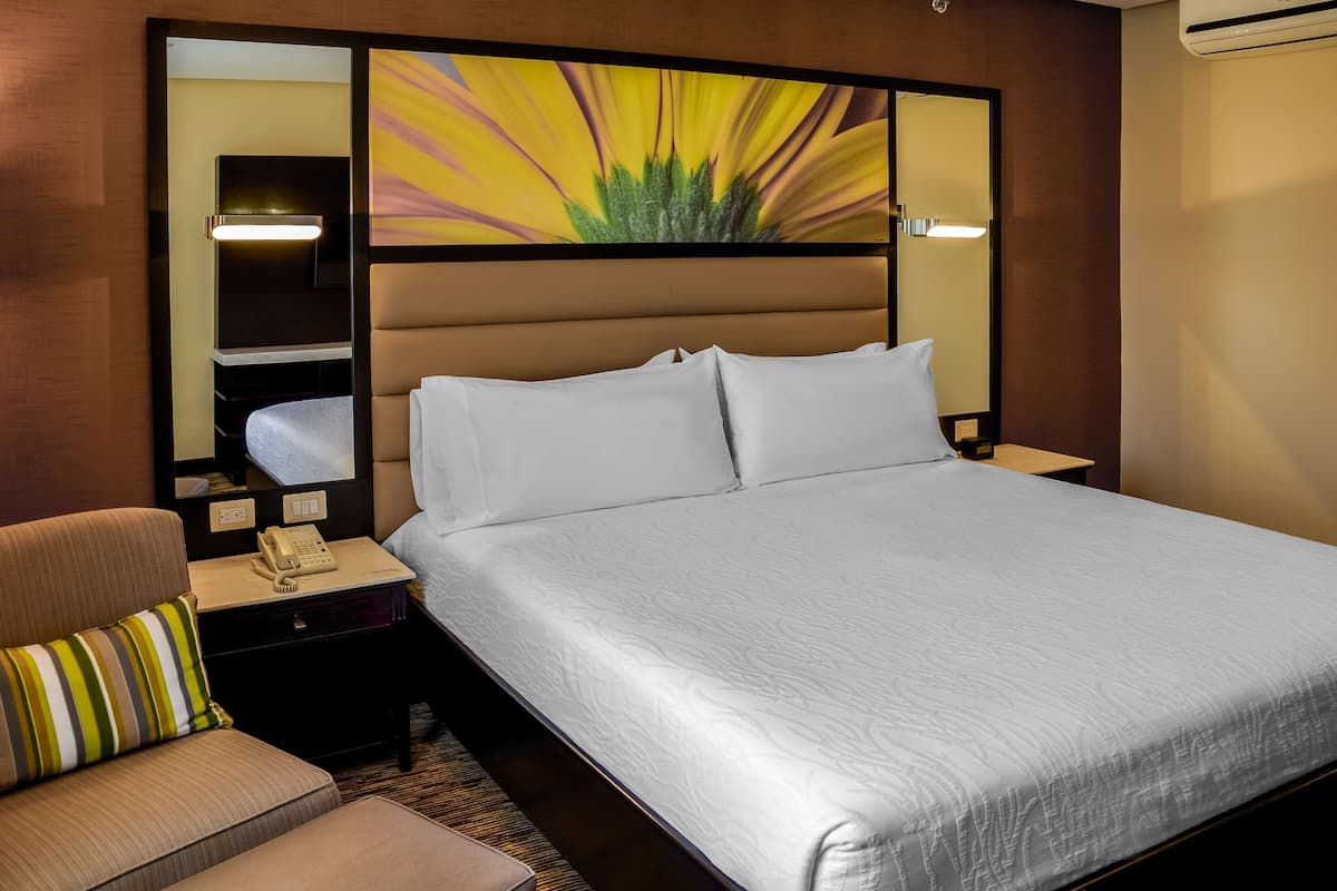 Zimmer, 1 King-Bett, Stadtblick | Zimmersafe, Schreibtisch, schallisolierte Zimmer, Bügeleisen/Bügelbrett