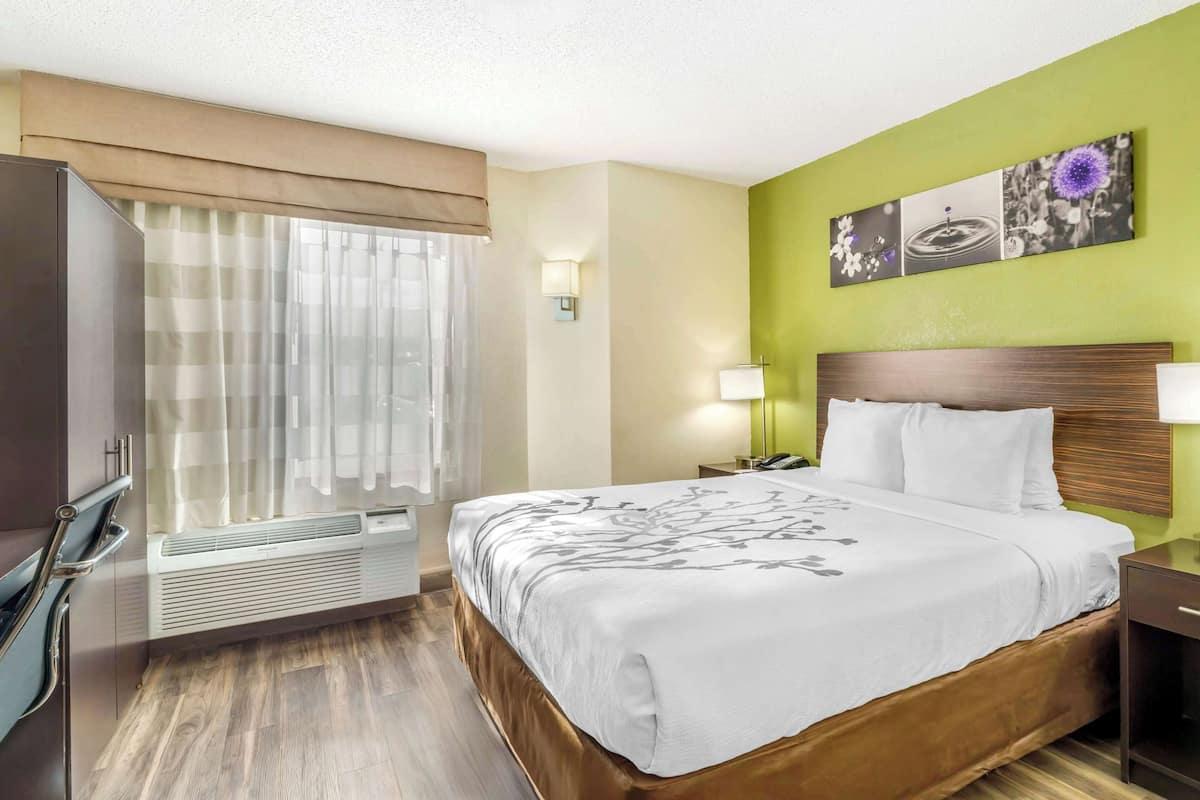 Standard Room, 1 Queen Bed, Non Smoking | Desk, laptop workspace, blackout drapes, soundproofing
