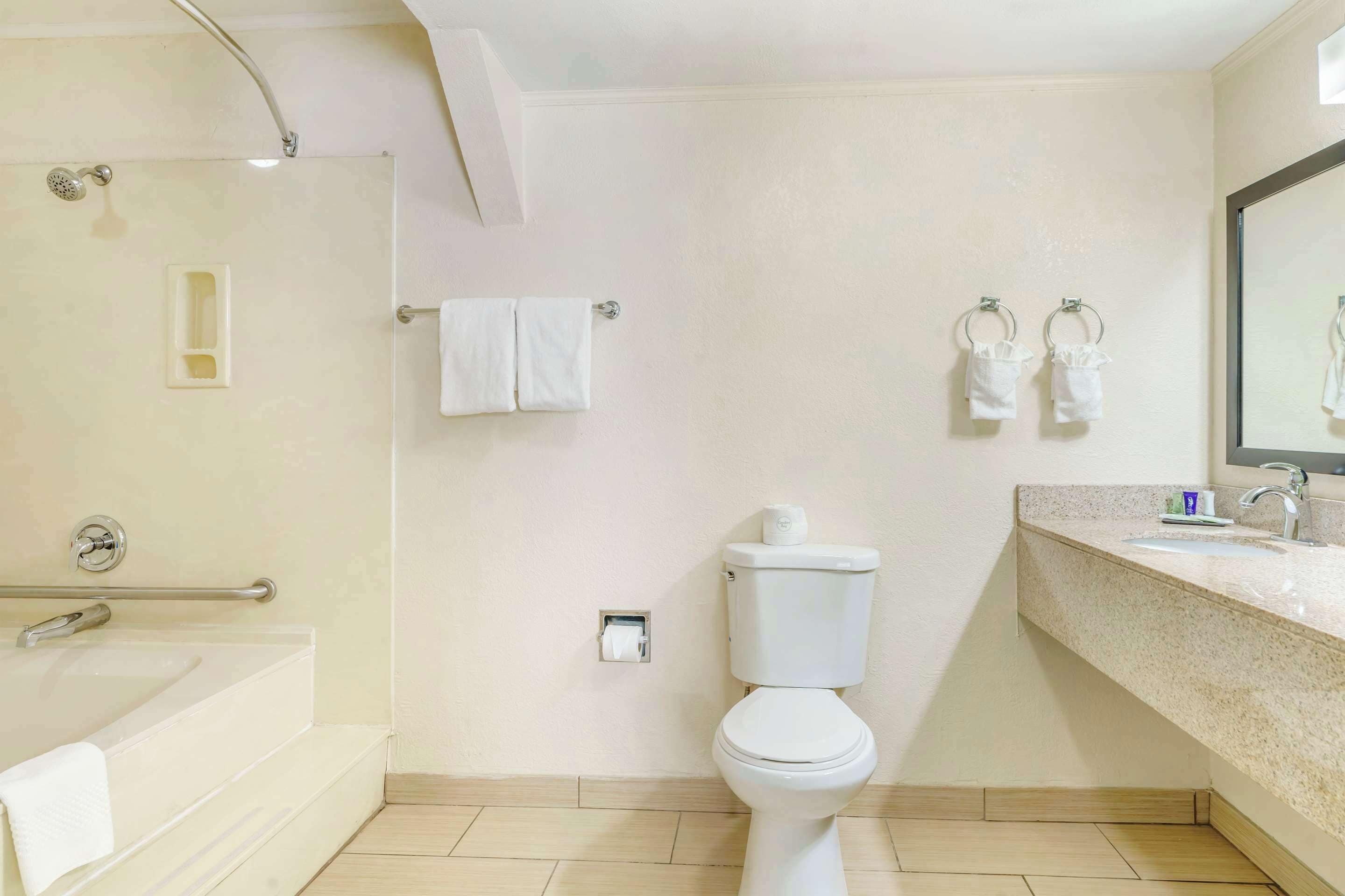 room, 1 queen bed, non smoking | bathroom | free toiletries, hair dryer, towels, soap