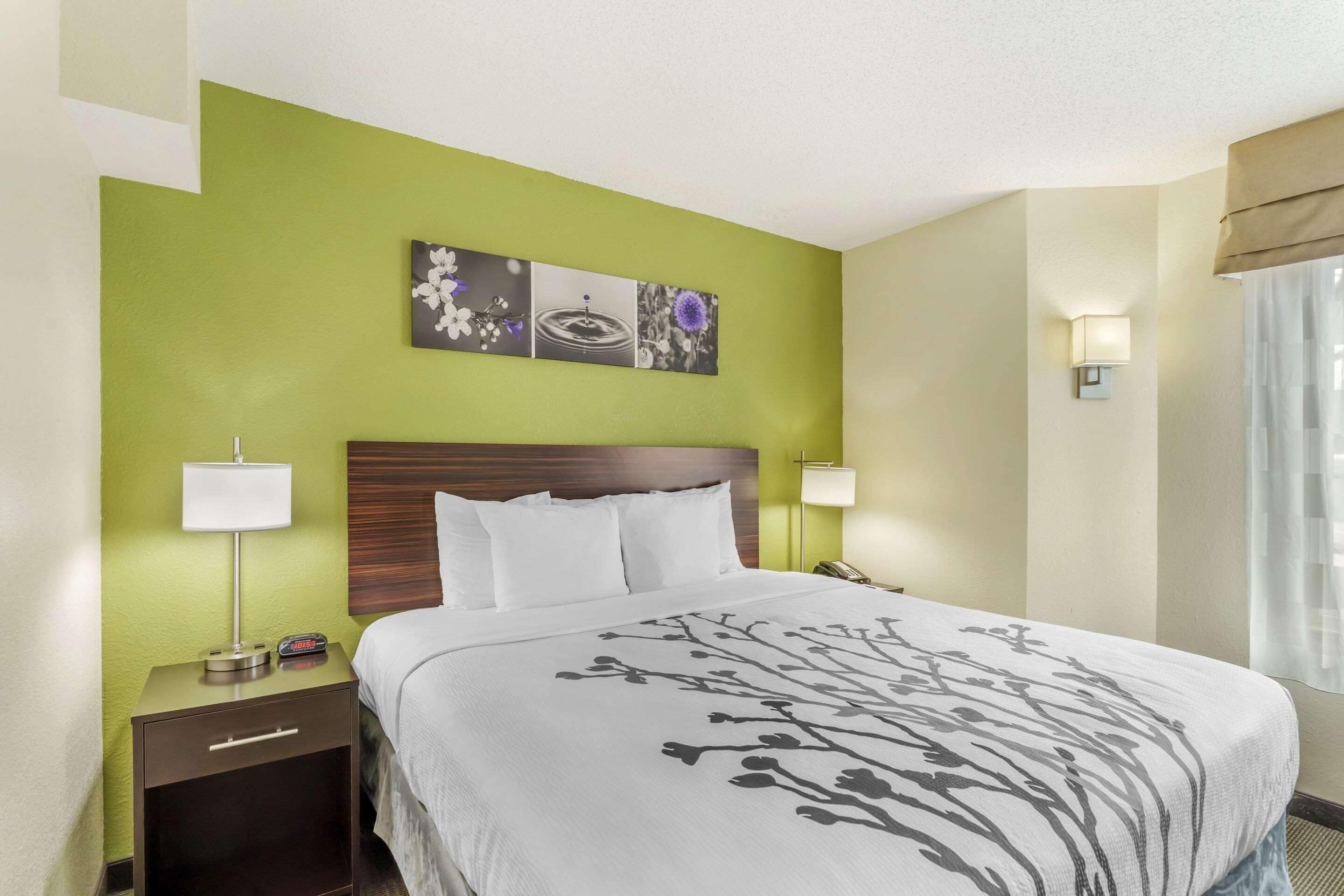 room, 1 king bed, non smoking | desk, laptop workspace, blackout curtains, soundproofing