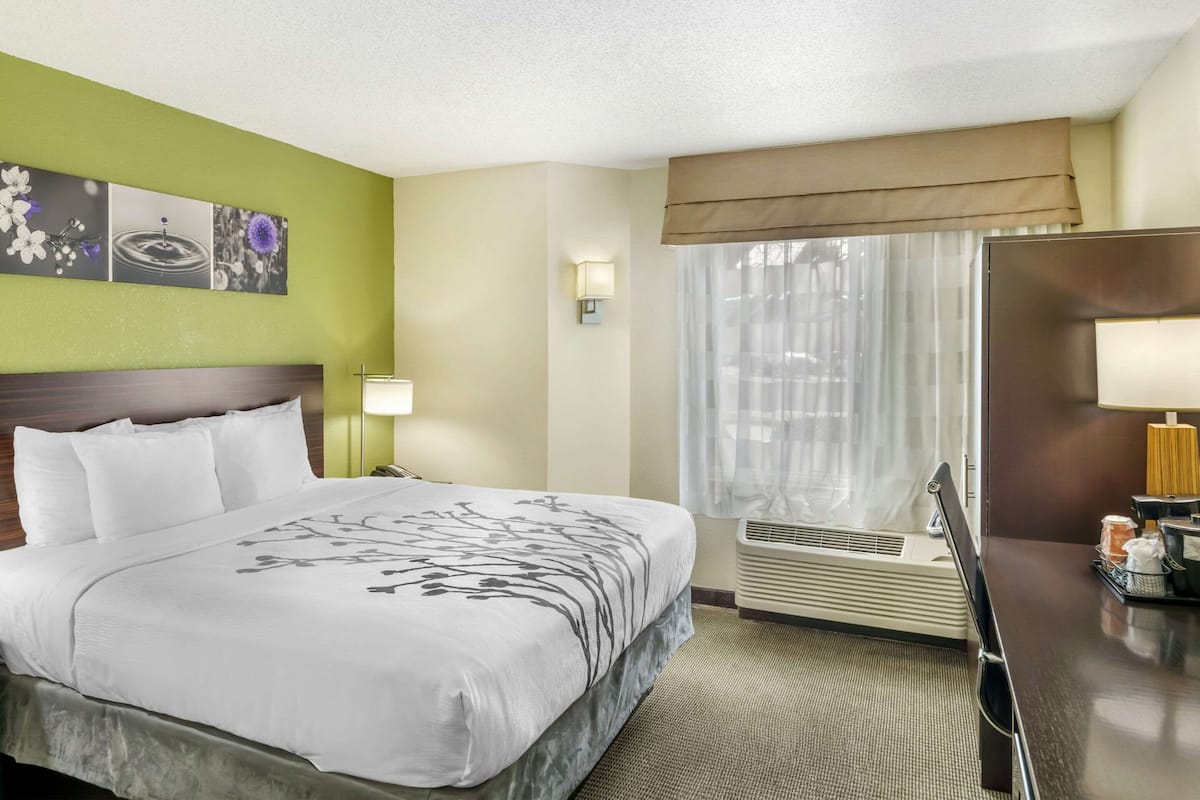Room, 1 King Bed, Non Smoking | Desk, laptop workspace, blackout drapes, soundproofing