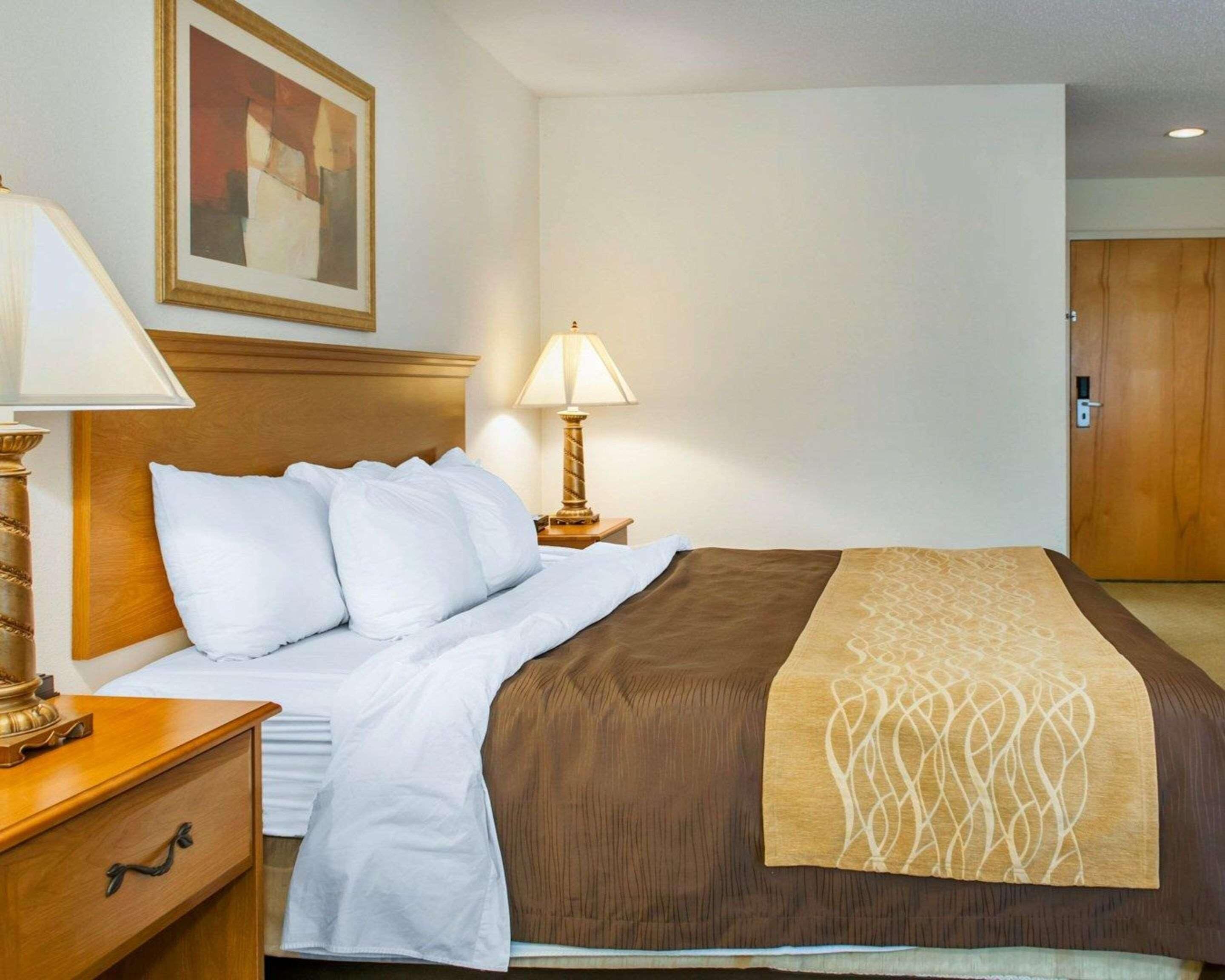 Una habitación de hotel con cama, mesita de noche, lámpara, un cuadro en la pared y una puerta.