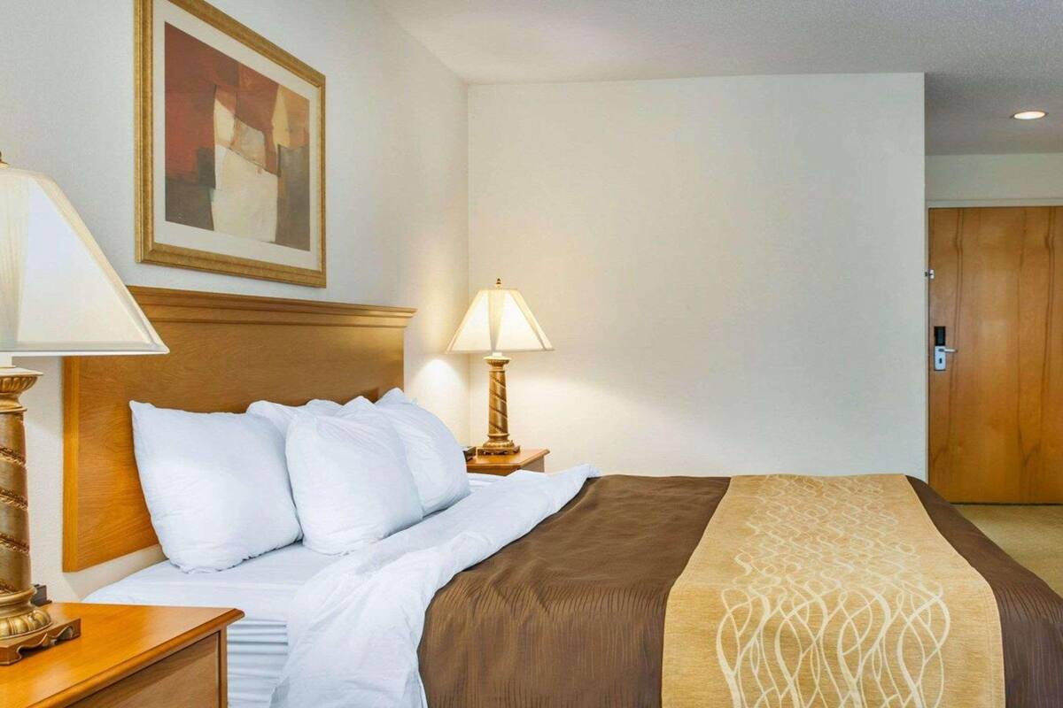 A hotel room with a bed, a nightstand, a lamp, a painting on the wall, and a door.